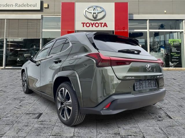 Lexus UX 300e
