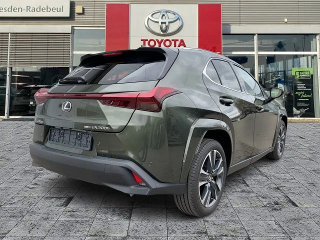 Lexus UX 300e