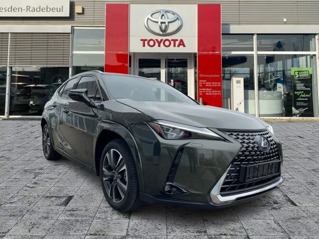 Lexus UX 300e