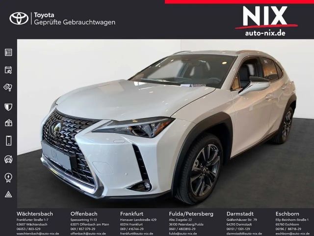 Lexus UX 250h