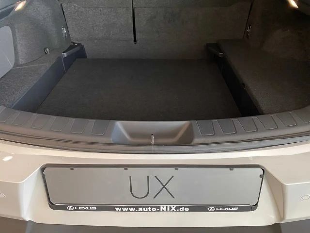 Lexus UX 250h