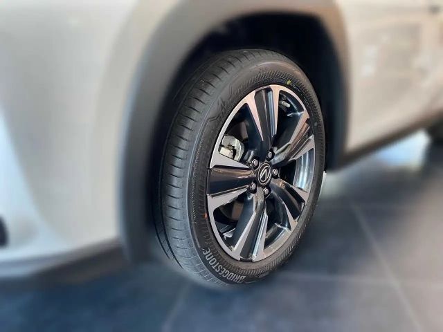 Lexus UX 250h