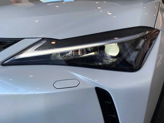 Lexus UX 250h