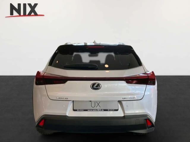 Lexus UX 250h