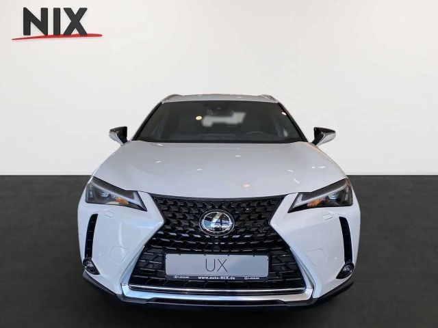 Lexus UX 250h