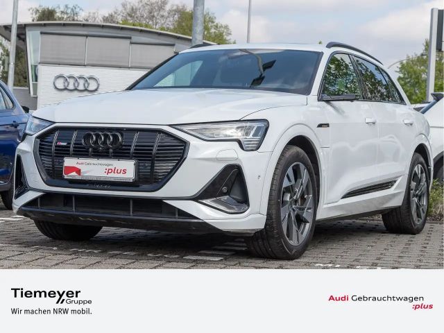 Audi e-tron 2021 Elektrisch