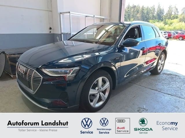 Audi e-tron 2020 Elektrisch