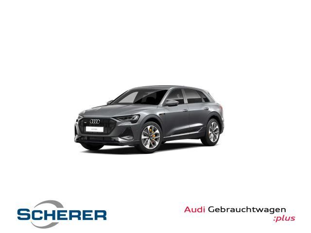 Audi e-tron 2021 Elektrisch