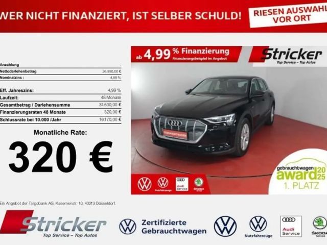 Audi e-tron 2022 Elektrisch