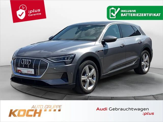 Audi e-tron 2022 Elektrisch