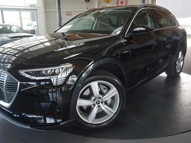 Audi e-tron 2022 Elektrisch