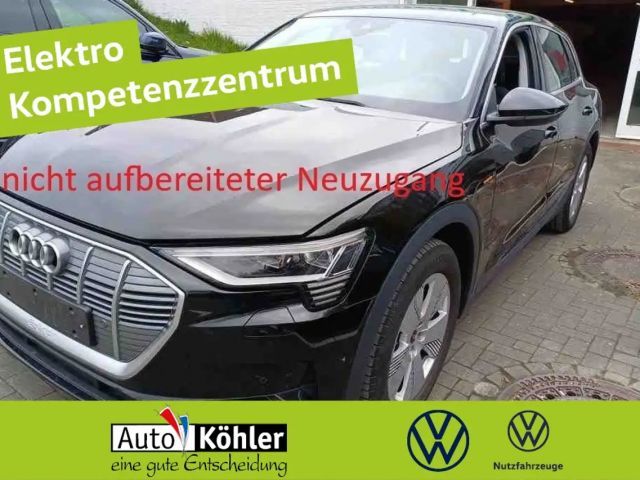 Audi e-tron 2021 Elektrisch