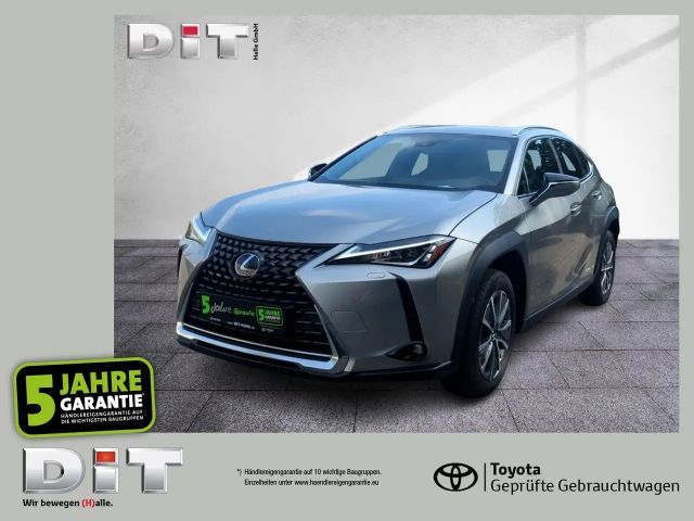 Lexus UX 300e Basis Klima Kamera Sitzhzg Tempomat 2021 Elektrisch