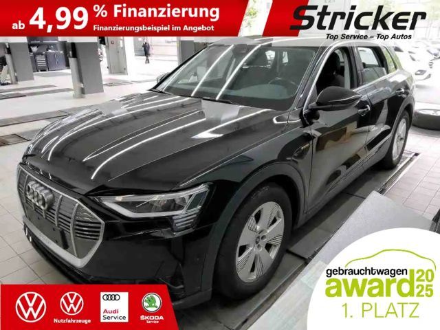 Audi e-tron 2022 Elektrisch