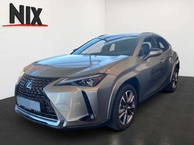 Lexus UX 300e Entry + Luxury-Paket + HUD 2024 Elektrisch