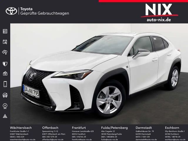 Lexus UX 300h 2.0 Hybrid F-Sport Design LED SHZ 2024 Hybride / Benzine