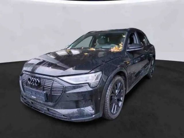 Audi e-tron 2022 Elektrisch