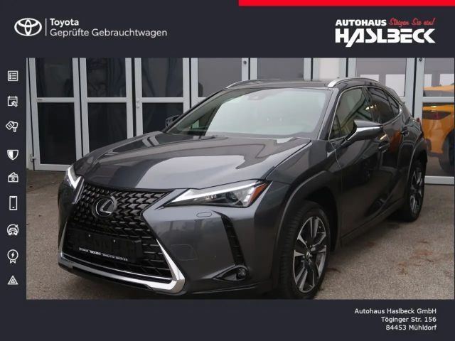 Lexus UX 250h Style Edition 2023 Hybride / Benzine