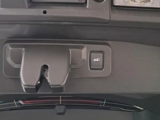 Mitsubishi Grandis