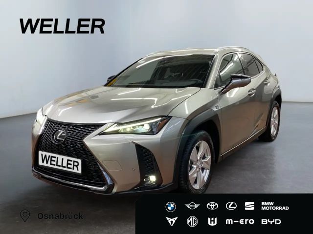 Lexus UX 250h F SPORT Design *Bi-LED*ACC*RCam*SHZ*PDC* 2023 Hybride / Benzine