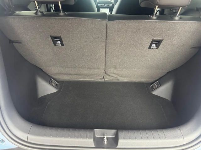 BYD Dolphin Surf
