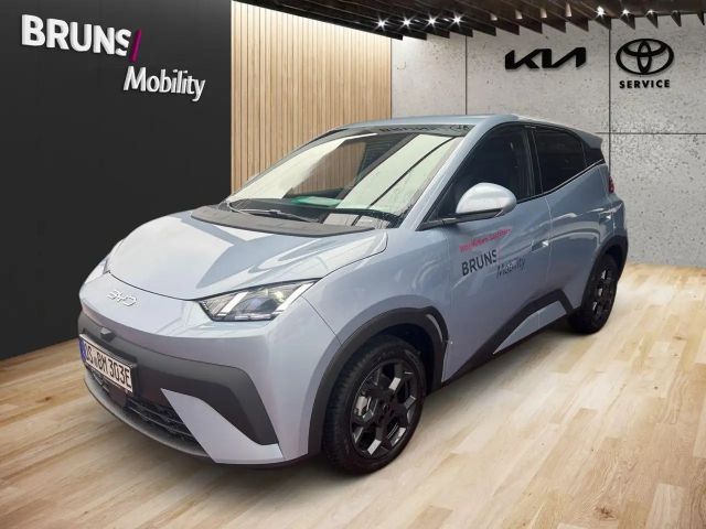 BYD Dolphin Surf