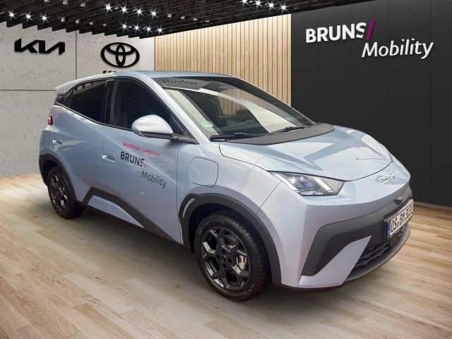 BYD Dolphin Surf