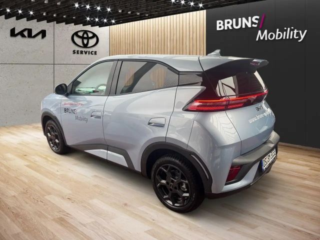 BYD Dolphin Surf