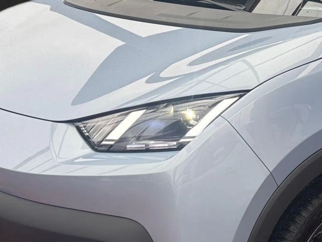 BYD Dolphin Surf