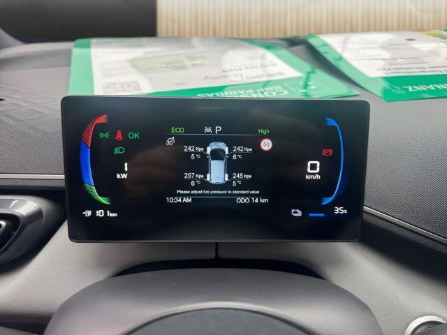 BYD Dolphin Surf
