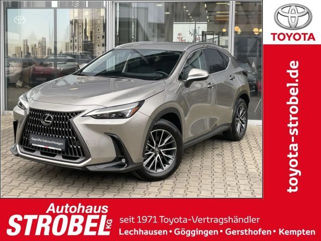 Lexus NX 350h Executive Line*inkl. WR*360° Kamera* 2025 Hybride / Benzine