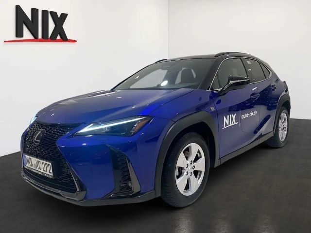 Lexus UX 300h 2.0 Hybrid F-Sport Design Two-Tone 2024 Hybride / Benzine