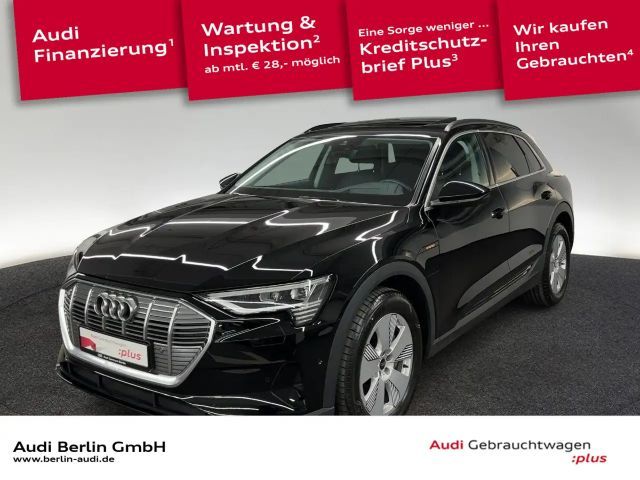 Audi e-tron 55 qu. LED NAVI HUD PANO AIR 2022 Elektrisch