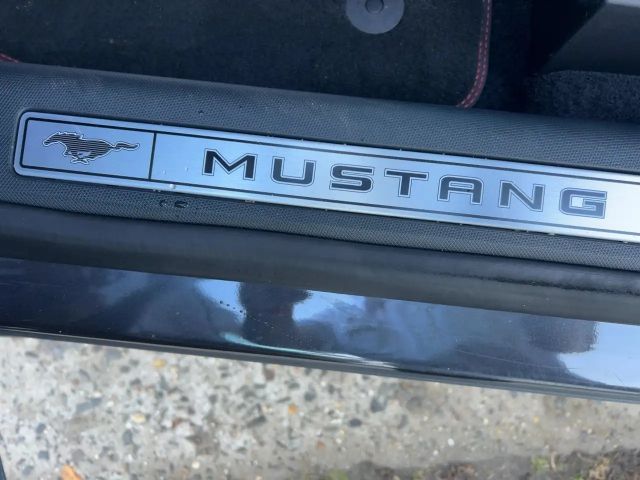 Ford Mustang Mach-E