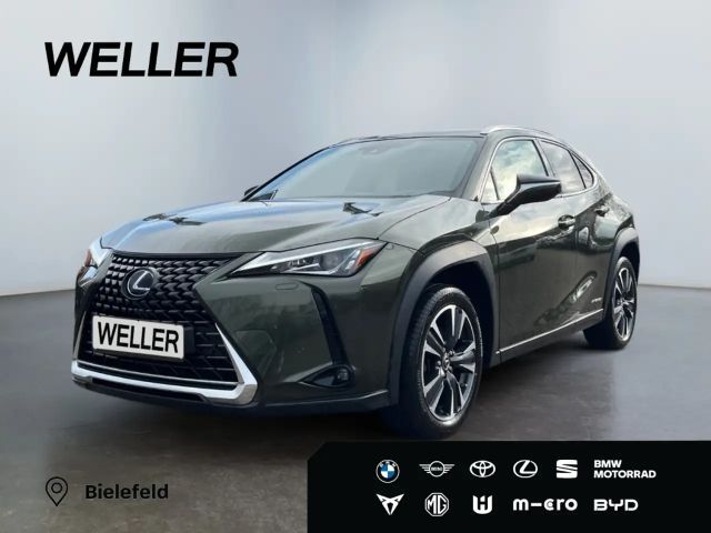 Lexus UX 250h Style Edition *Bi-LED*AHK*CAM*ACC*SHZ*PDC* 2022 Hybride / Benzine