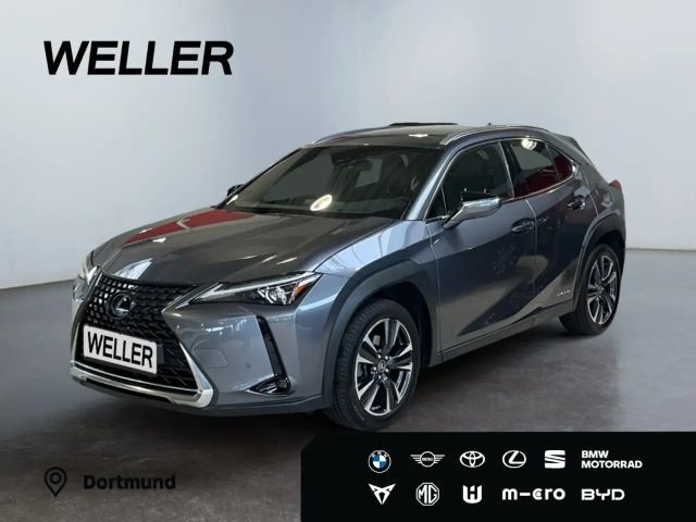 Lexus UX 250h Style Edition *Bi-LED*ACC*CAM*SHZ*CarPlay* 2022 Hybride / Benzine