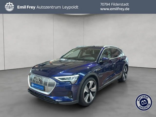 Audi e-tron 50 quattro Pano,B&o, el Sitze 2022 Elektrisch