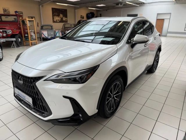 Lexus NX 450h+ E-FOUR Business AHK Leder elektrische Sitzverstell 2025 Hybride / Benzine