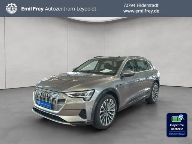 Audi e-tron 50 quattro advanced HUD 2022 Elektrisch