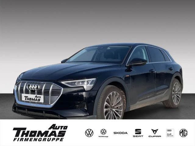 Audi e-tron 55 quattro NAVI+PDC+DAB+ 2023 Elektrisch