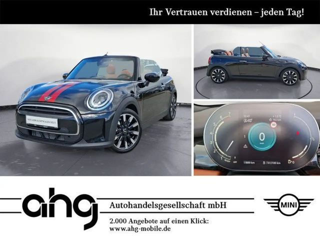 MINI Cooper Cabrio Navi Leder LED PDC Komfortzugang 2024 Benzine