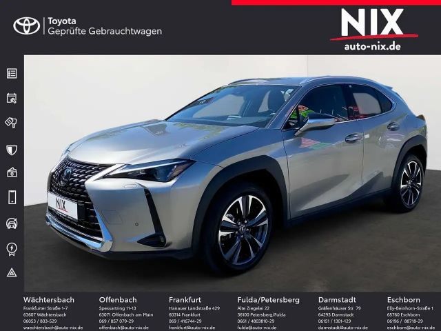Lexus UX 250h Style Edition SHZ KAMERA 2022 Hybride / Benzine