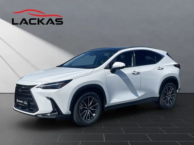 Lexus NX 450h+ + Executive Line NX 450h+ Executive Line 2026 Hybride / Benzine