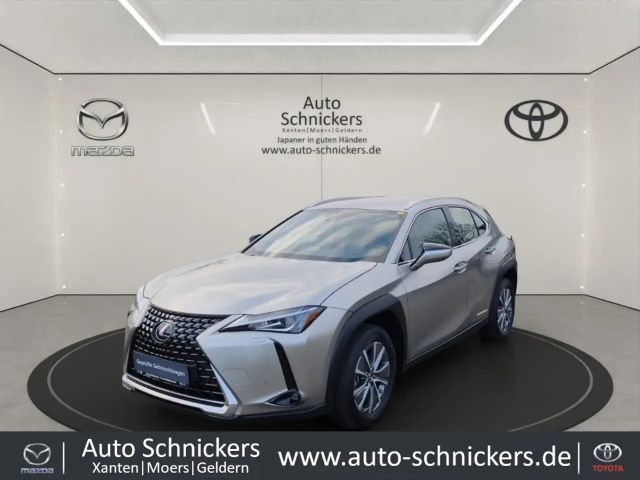 Lexus UX 300e +KAMERA+ACC+GJ-RÄDER !! 2022 Elektrisch