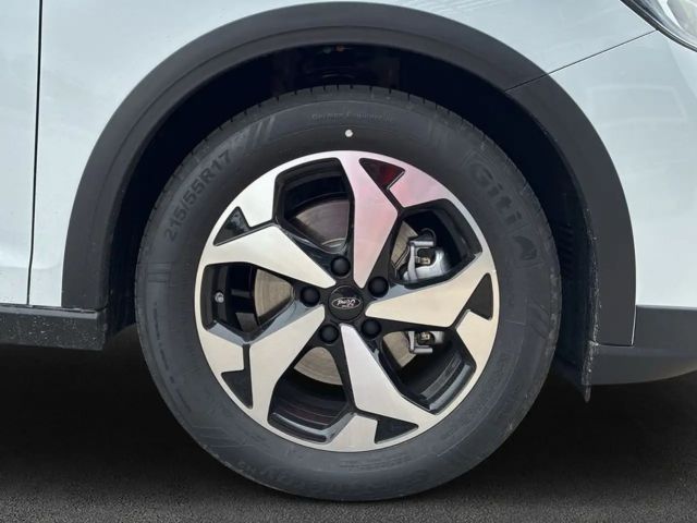 Ford Grand Tourneo