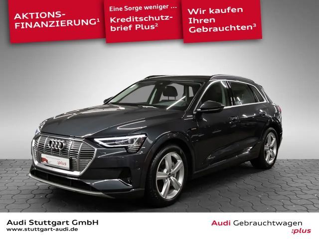 Audi e-tron 55 quattro advanced LED Standklima Navi+ 2022 Elektrisch
