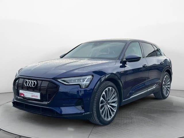 Audi e-tron 2022 Elektrisch