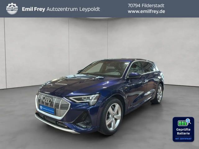 Audi e-tron 55 quattro S line Pano 2022 Elektrisch