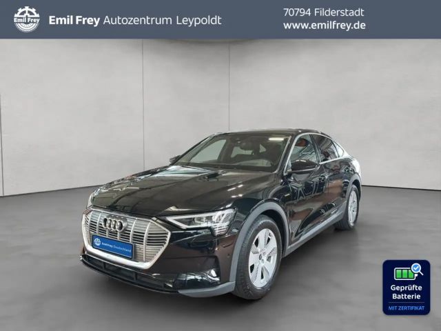 Audi e-tron 2022 Elektrisch