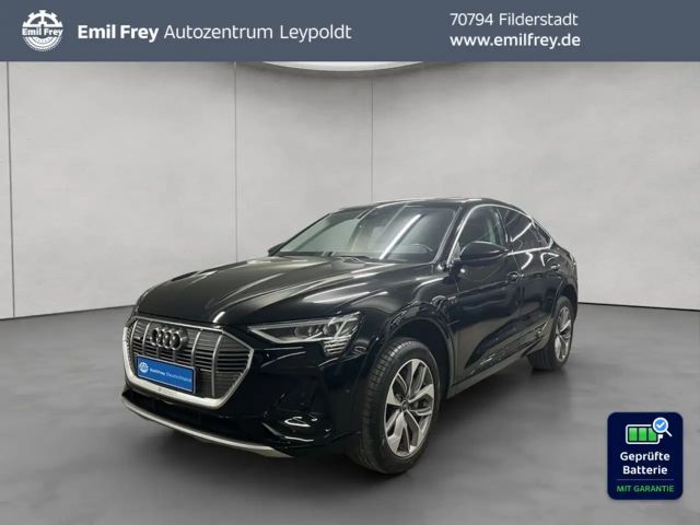 Audi e-tron 2022 Elektrisch